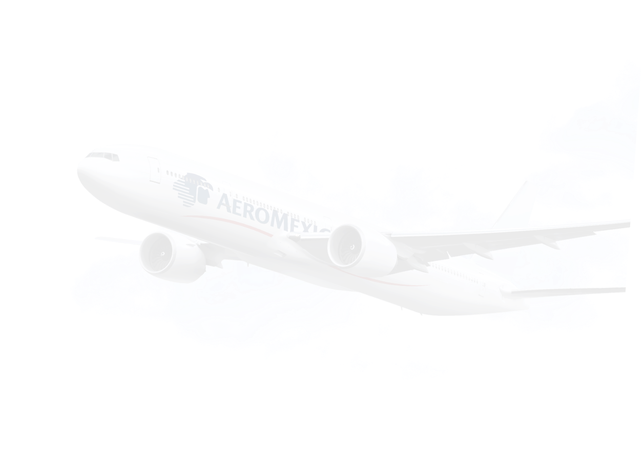 Fleet : Aeromexico Cargo